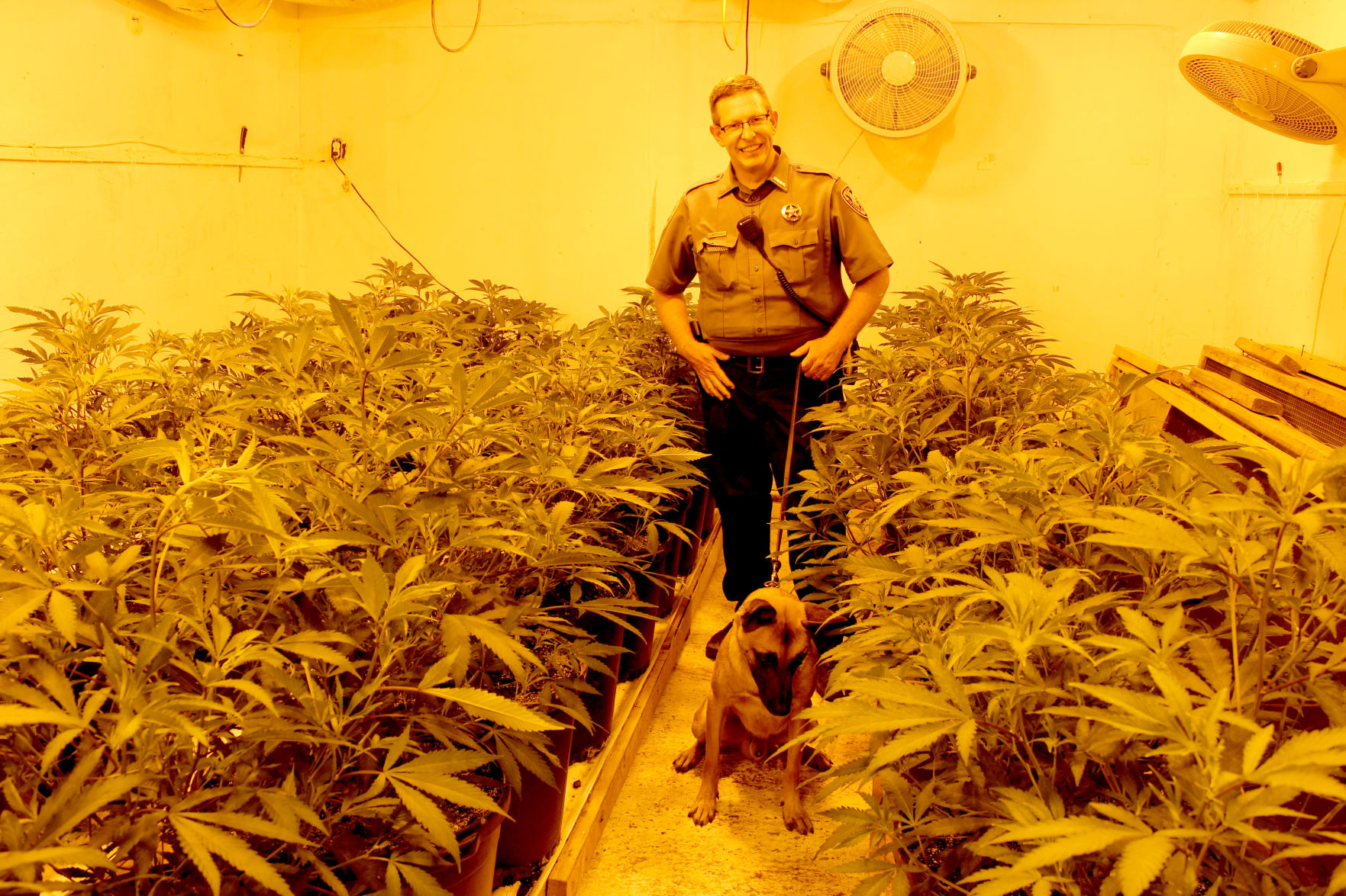 McKelvey and dog in grow house